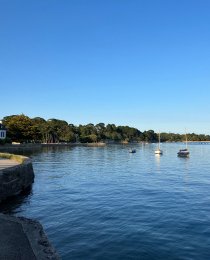 La musique en Espagne, à la Renaissance et aujourd'hui