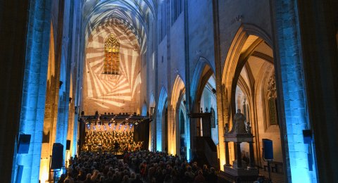 Lumières sur Notre Dame de Cléry