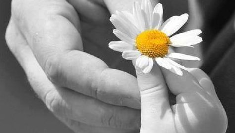 Vous ne saurez jamais