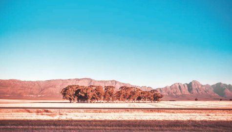 Le train vient d'Afrique du Sud (recueil)